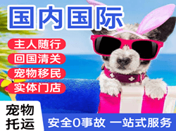 潍坊空运公司国际宠物托运 【国